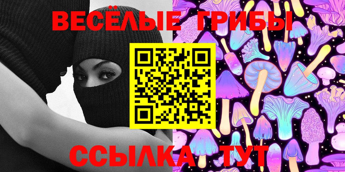 Галлюциногенные грибы прущие грибы  Вход с VPN  хочу   Егорьевск 